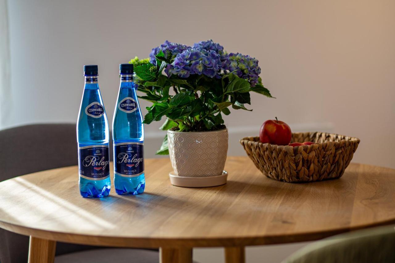 Ogrodowa Premium Apartment Gorlice Ngoại thất bức ảnh
